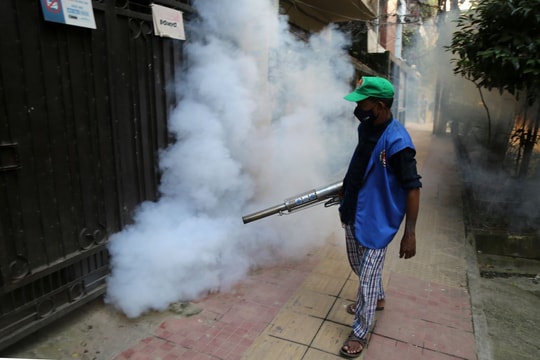 Những điều cần biết về virus chikungunya