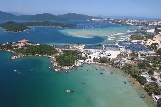 Giải thể Ban Chỉ đạo quốc gia về xây dựng các đơn vị hành chính - kinh tế đặc biệt