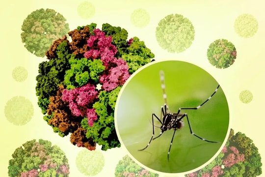 Bộ Y tế khuyến cáo các biện pháp phòng, chống bệnh Chikungunya