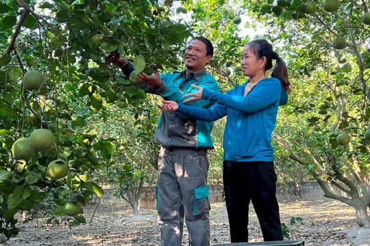 Tín dụng chính sách tiếp sức tạo việc làm ở nông thôn