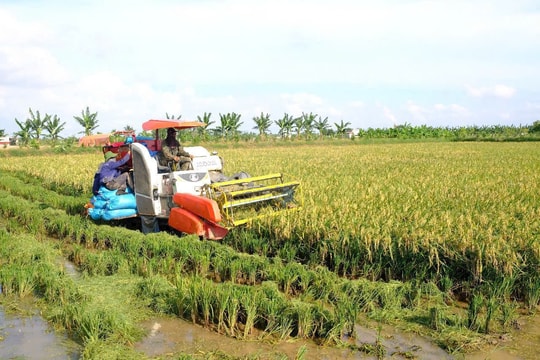 Nông nghiệp xanh, bền vững - "Chìa khóa" tạo bứt phá