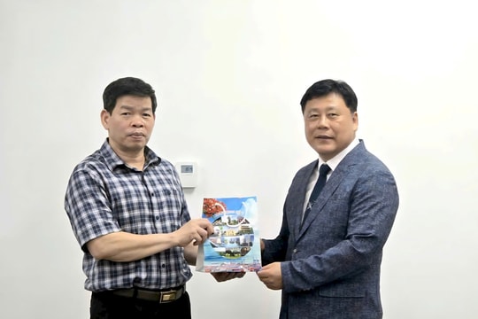 Hải Phòng và huyện Yeongam (Hàn Quốc) tăng cường hợp tác về giáo dục
