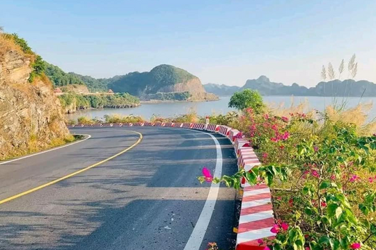Hải Phòng tổ chức thi công 3 ca 4 kíp, xuyên ngày nghỉ, ngày lễ để rút ngắn thời gian hoàn thành hệ thống đường bộ ven biển