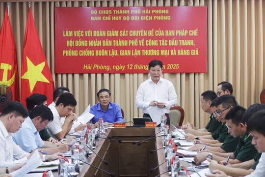 Phòng chống buôn lậu, gian lận thương mại và hàng giả tại khu vực biên giới biển, cửa khẩu cảng