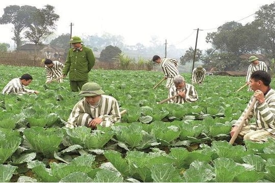Phạm nhân được hiến mô, một phần bộ phận cơ thể, được lưu trữ trứng, tinh trùng theo quy định pháp luật