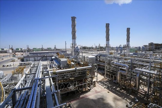 OPEC nâng dự báo nhu cầu dầu mỏ toàn cầu