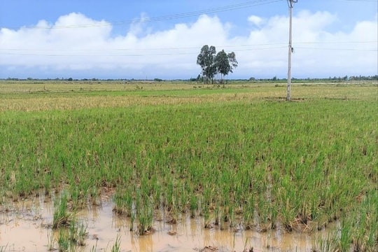 561 hộ nhận tiền bồi thường giải phóng mặt bằng Dự án xây dựng khu công nghiệp Vinh Quang