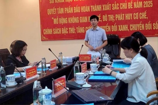 Hải Phòng có thể nhân rộng trồng dưa chuột VC09, khoai tây Bliss