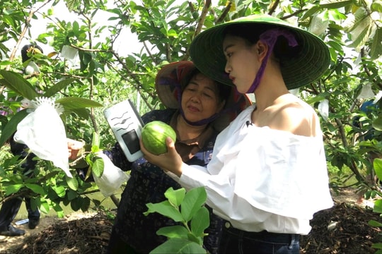 Nông dân thời đại số
