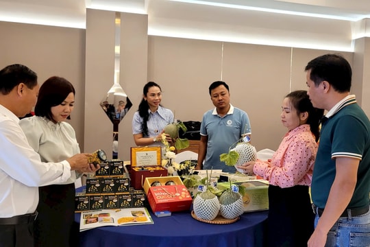 Hải Phòng nâng cao quyền sở hữu trí tuệ cho hàng xuất khẩu