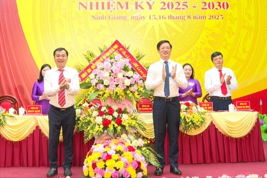 Ninh Giang phấn đấu xây dựng xã giàu đẹp, văn minh, hiện đại