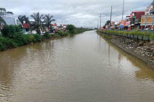 Phòng chống ngập úng cho hơn 10.000 ha lúa, hoa màu