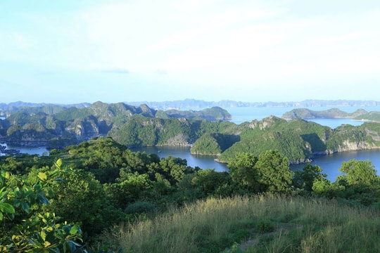 Major benefits from implementing carbon credit mechanism in Hai Phong