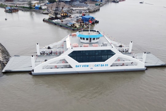 Activities at river mouths and coastal areas of Hai Phong return to normal