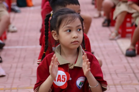 Học sinh lớp 1, 9 và 12 ở Hải Phòng tựu trường ngày 25/8