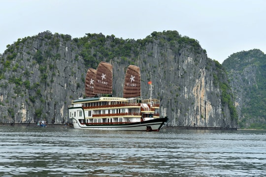 Du lịch Hải Phòng nâng tầm đẳng cấp