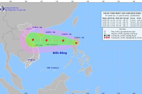 Bão số 5 sắp hình thành có thể mạnh cấp 12, vào đất liền ngày 25/8