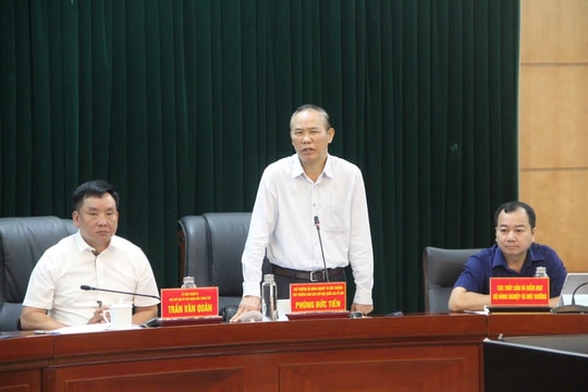 Hải Phòng quyết liệt triển khai các giải pháp cấp bách chống khai thác thuỷ sản bất hợp pháp