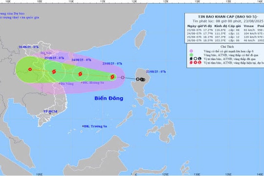 Các cơ quan, đơn vị khẩn trương thực hiện nhiệm vụ phòng chống bão số 5