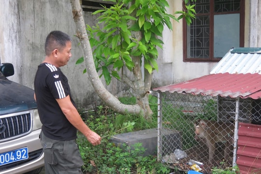 Bảo vệ người dân và động vật hoang dã ven đồi rừng Thiên Văn