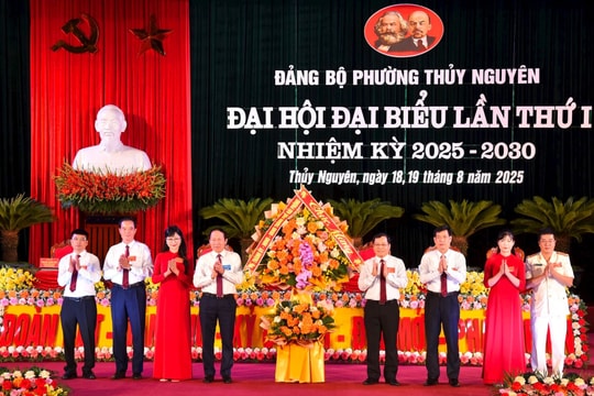 Nhìn lại Đại hội Đảng bộ xã, phường, đặc khu lần đầu sau hợp nhất