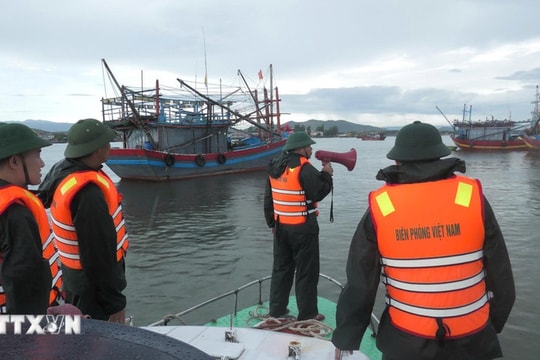 Phương án di dời 152.387 hộ dân ở 4 tỉnh, thành phố ven biển