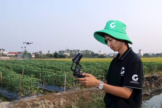 Nông nghiệp, nông thôn Hải Phòng thời 4.0