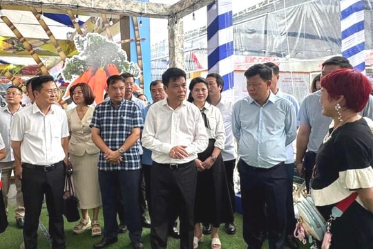 Tinh chỉnh, nâng cao sức hấp dẫn của gian trưng bày Hải Phòng tại Triển lãm thành tựu đất nước
