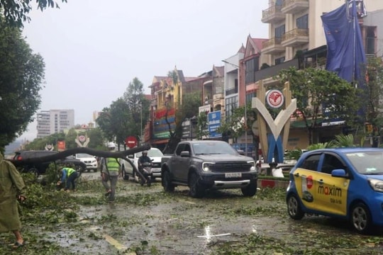 Bão số 5 làm 16 người thương vong với nhiều thiệt hại nghiêm trọng tại các địa phương