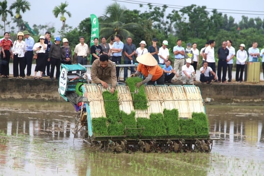 Từ đất hoang thành 'cánh đồng công nghệ' ở Việt Khê
