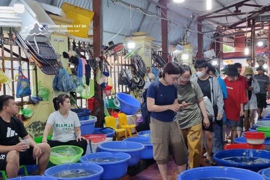 Đặc sắc hải sản Cát Bà