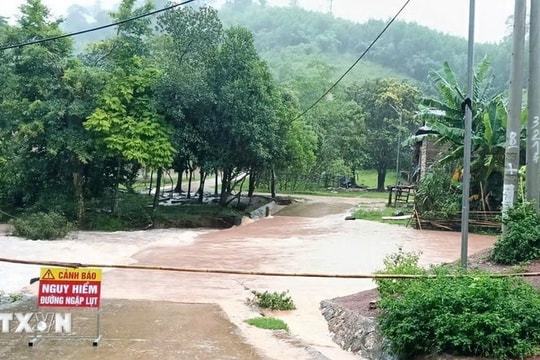Áp thấp nhiệt đới đang hoạt động trên Biển Đông