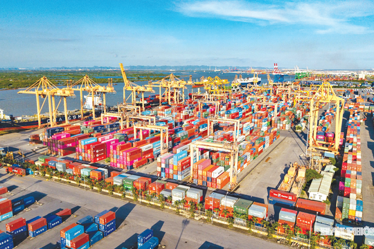 Tiếp tục hỗ trợ doanh nghiệp xử lý vướng mắc trong xuất khẩu