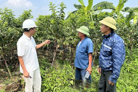 Tích tụ ruộng đất, động lực giúp kinh tế tập thể phát triển