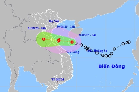 Tropical depression approaching, heavy rain forecast in many areas of Hai Phong
