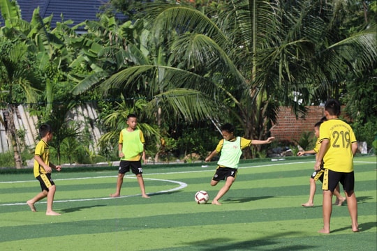 7 cầu thủ người Hải Phòng  'cập bến' các câu lạc bộ chuyên nghiệp