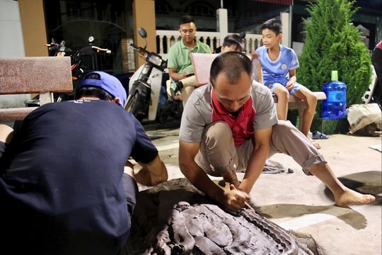 Pháo đất Hải Phòng rền vang mừng Quốc khánh