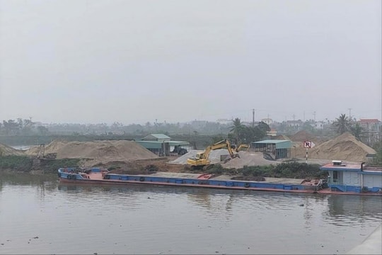 Hải Phòng xử lý 31 vụ vi phạm pháp luật về đê điều