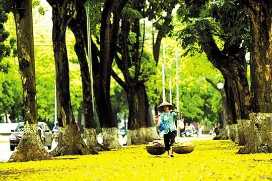 Mẹ, mùa thu và phố