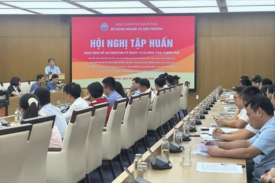 Tập huấn về việc giao các khu vực khai thác, sử dụng tài nguyên biển