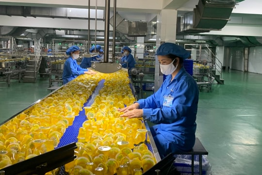 Tạo điều kiện để doanh nghiệp trẻ vươn tầm