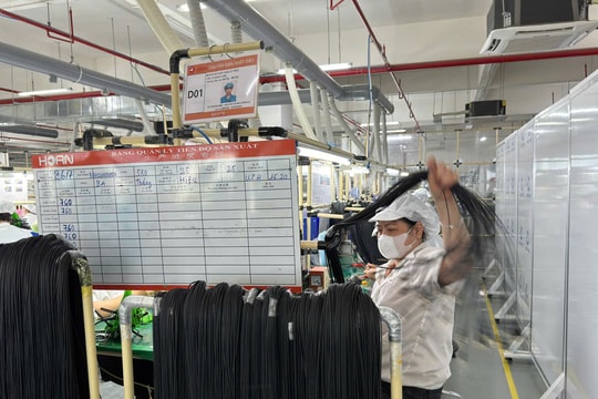 Hai Phong aims for sustainable industrial growth