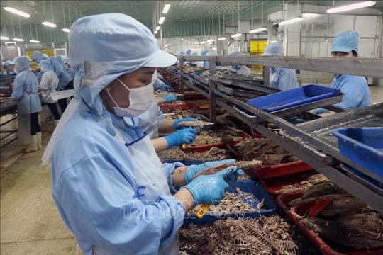 Tăng trưởng kinh tế của Việt Nam vẫn vững vàng