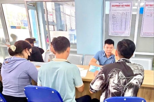 Nộp hồ sơ ứng tuyển qua Trung tâm Dịch vụ việc làm Hải Phòng hoàn toàn miễn phí