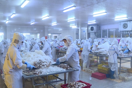 Hai Phong accompanies agro-processing enterprises