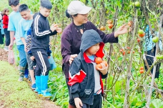 Định hình thương hiệu du lịch xanh