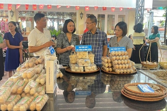 Kết nối tiêu thụ trứng gia cầm trên địa bàn thành phố Hải Phòng