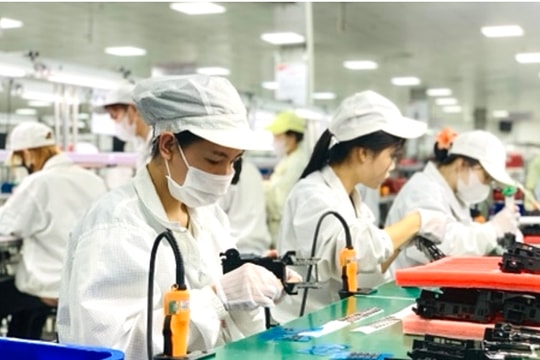 Workers in VSIP Hai Phong industrial park enjoy better benefits than average