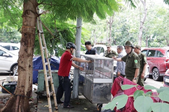 Giữ đường thông, hè thoáng, sạch đẹp, văn minh