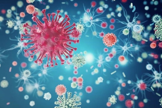 Virus hợp bào hô hấp bùng phát nghiêm trọng tại Thái Lan